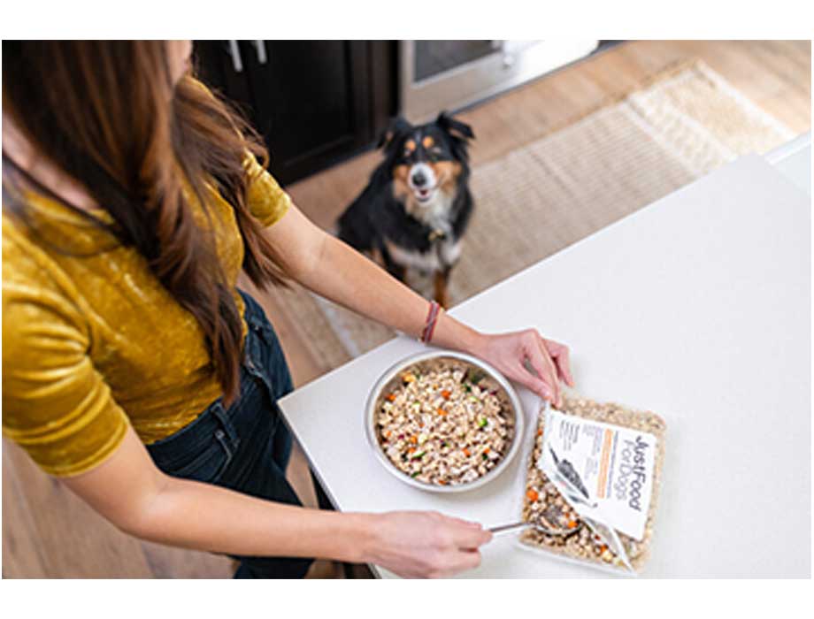 Hot Pet suministros de perro interactivo IQ formación de alimentos