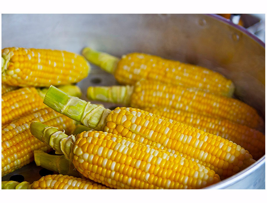 México planea reducir su dependencia de maíz amarillo proveniente de  Estados Unidos - enAlimentos