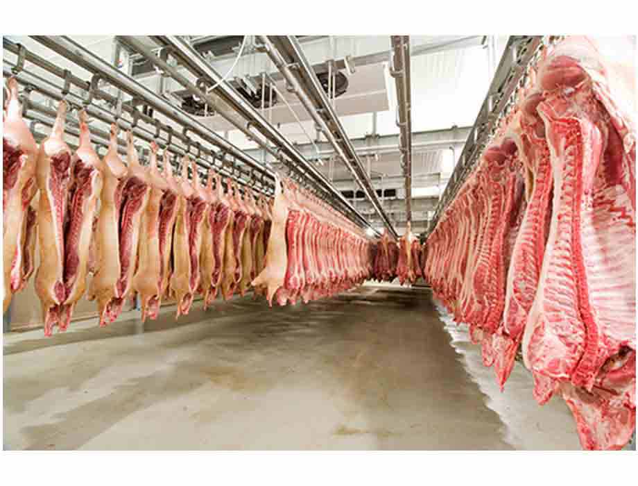Exportación de carne a EE.UU. dará entusiasmo a la Expo 2024, destacan