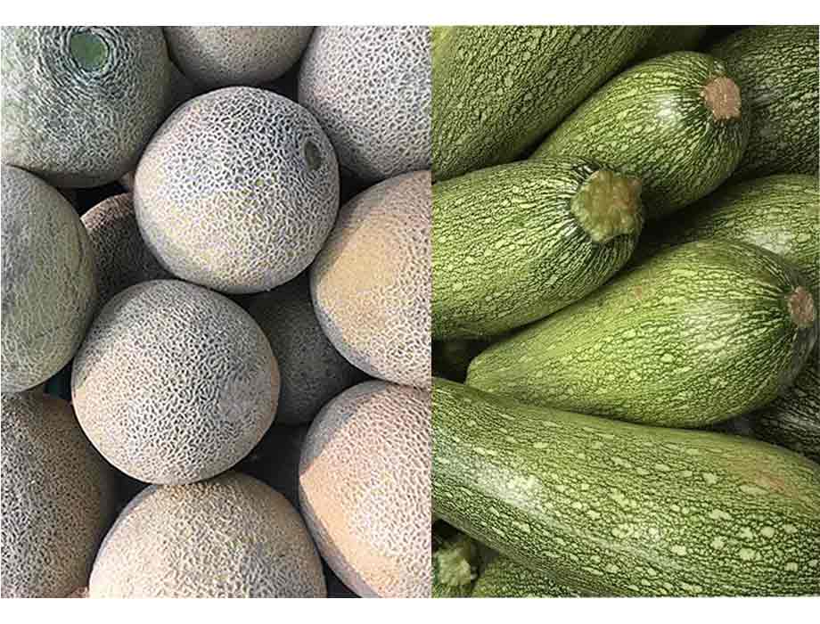 Día Mundial Verduras Frescas 2021: Beneficios y calendario de verduras de  temporada