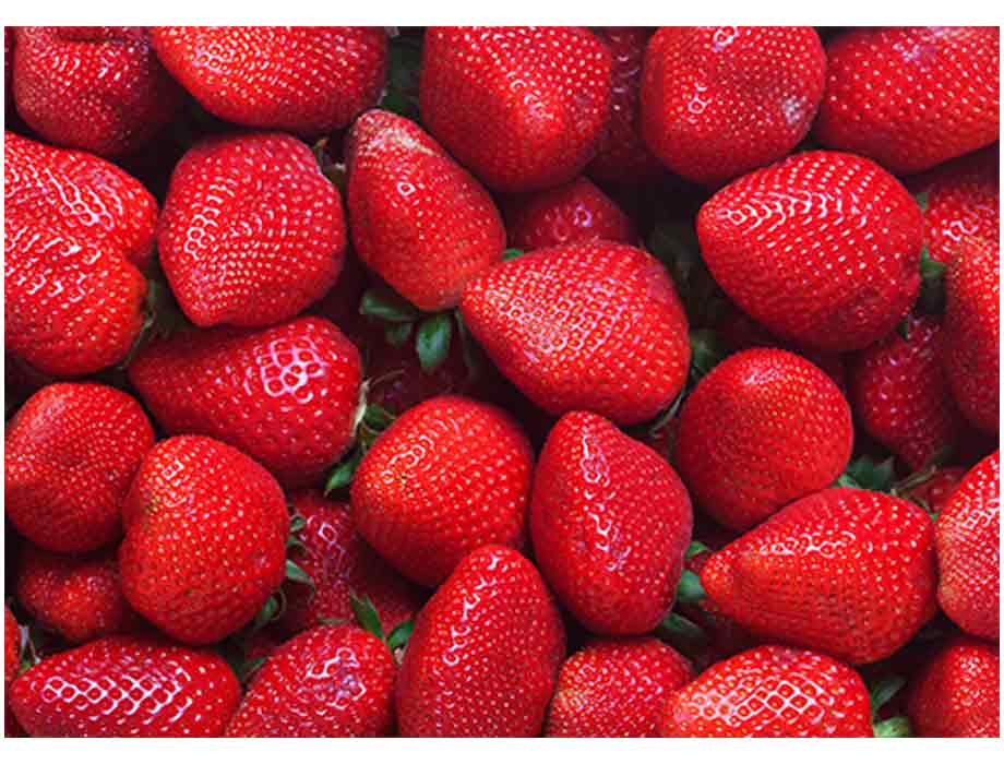 Beneficios y propiedades de los frutos rojos – Abasto Vegano
