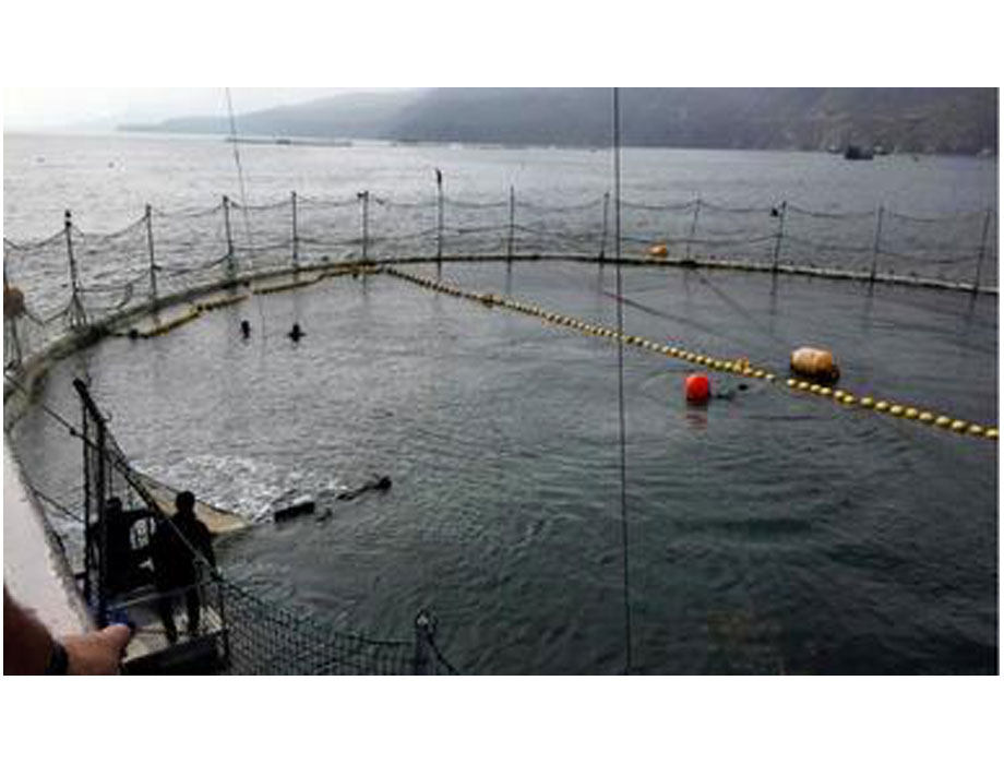 Veinte toneladas de redes de pesca tendrán un nuevo uso, redes de