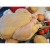 Ecuador lanza campaña nacional para promover el consumo de carne de pollo