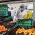 México refuerza compromiso con la inocuidad alimentaria