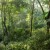 Producir sin perder biodiversidad: Arcor